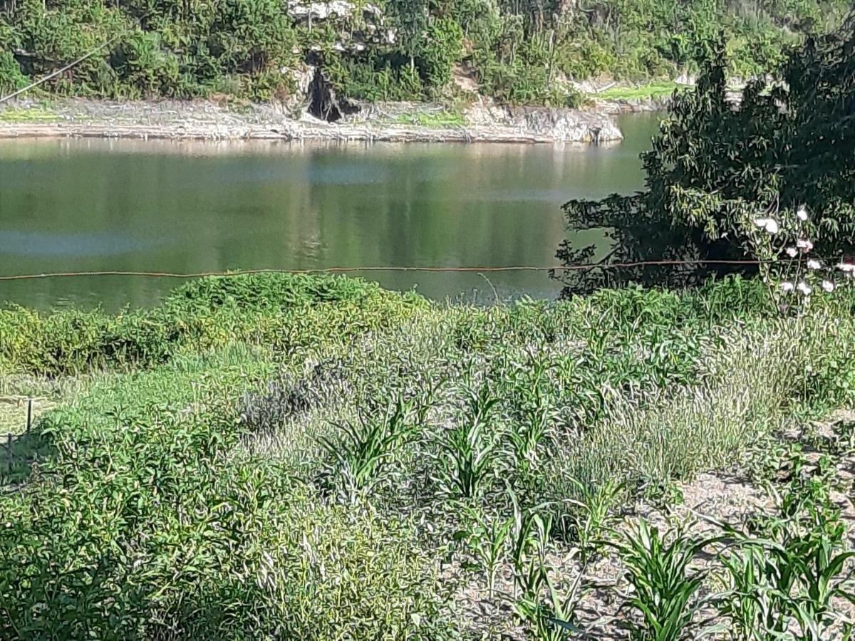 River House Sejaes Oliveira de Frades Ngoại thất bức ảnh