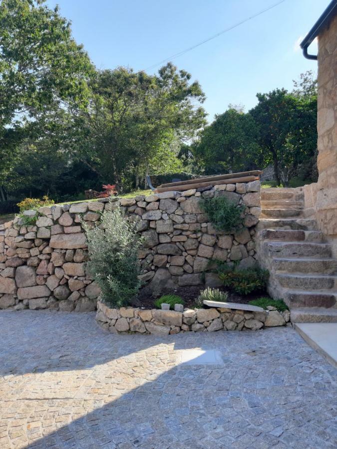 River House Sejaes Oliveira de Frades Ngoại thất bức ảnh