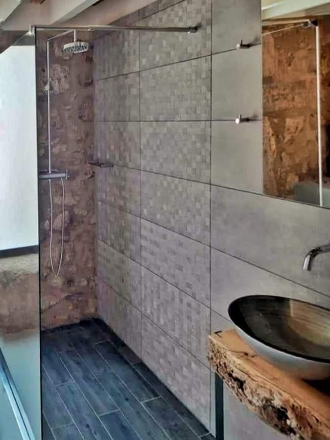 River House Sejaes Oliveira de Frades Ngoại thất bức ảnh
